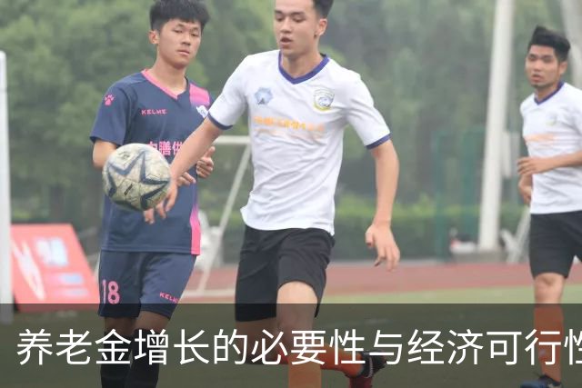 养老金增长的必要性与经济可行性分析